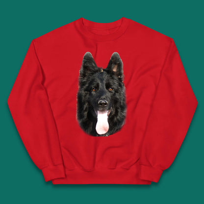 Old German Shepherd Dog Kids Jumper