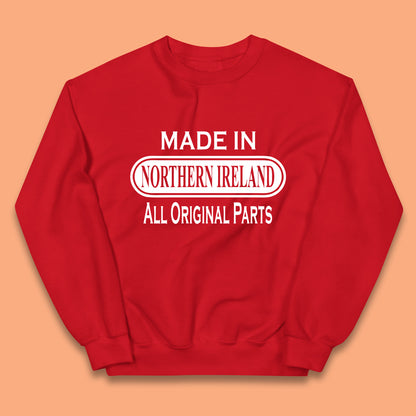Made in Northern Ireland All Original Parts Kids Jumper