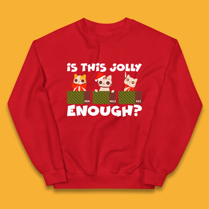 christmas cat jumper