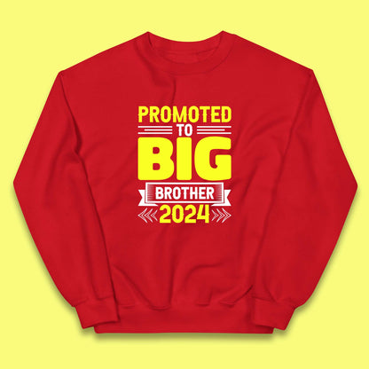 Promoted To Big Brother 2024 Soon To Be Big Brother Siblings Gift Kids Jumper