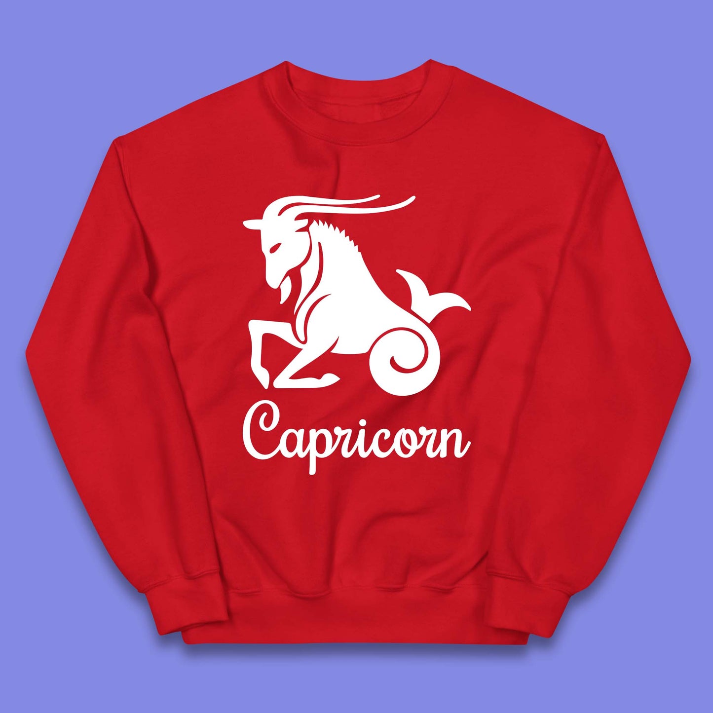 Capricorn Kids Jumper