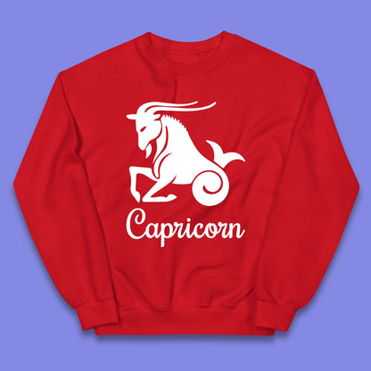 Capricorn Kids Jumper