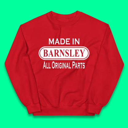Childrens Barnsley Sweaters UK