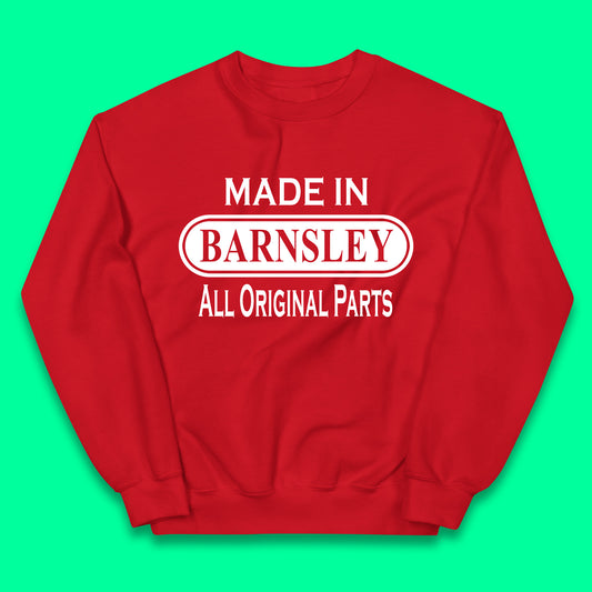 Childrens Barnsley Sweaters UK
