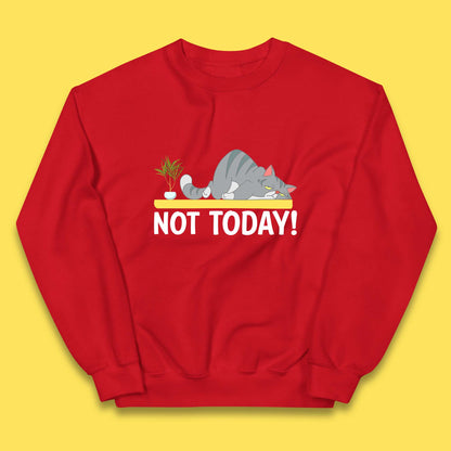 Not Today Cat Funny Kitten Lazy Cats Sleepy Cat Lover Kids Jumper