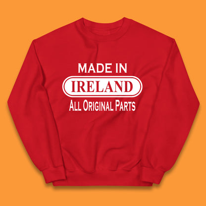 Made In Ireland All Original Parts Vintage Retro Birthday Country In Europe Gift Kids Jumper