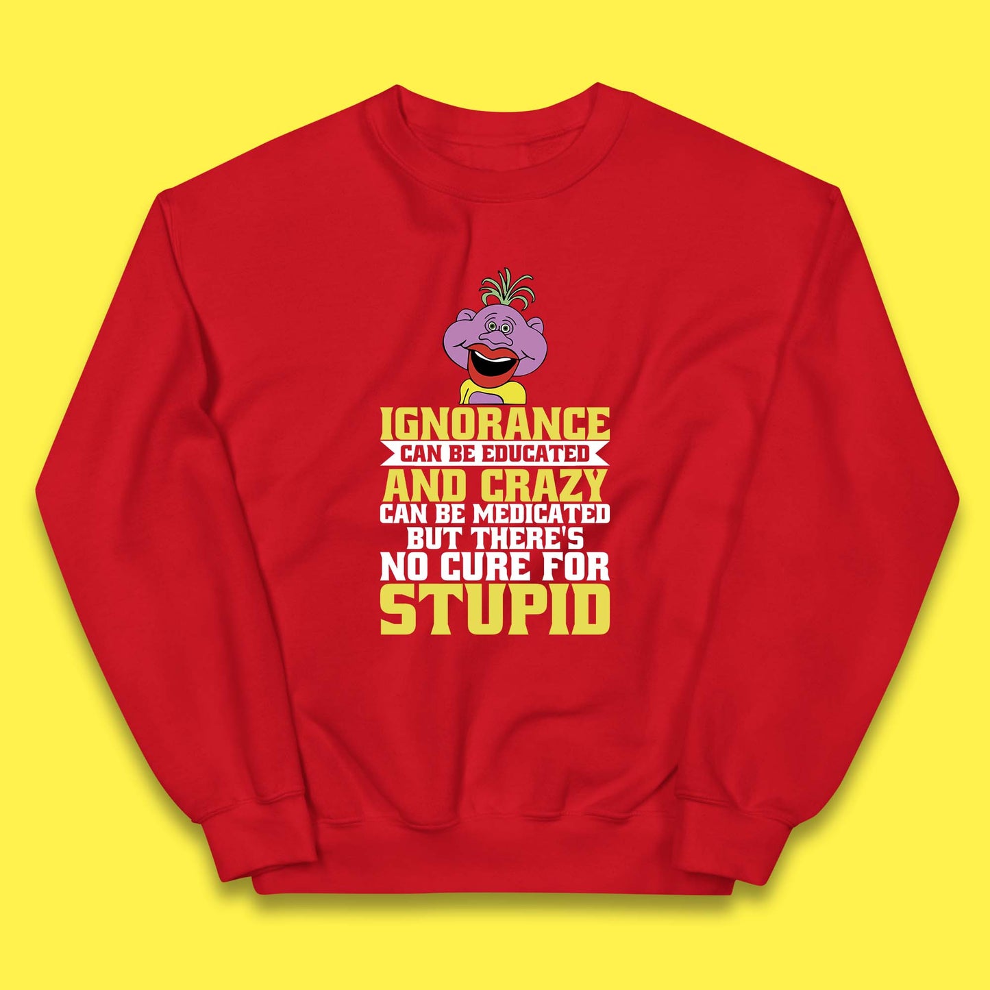 Ignorance Can Be Educated And Crazy Can Be Medicated But There's No Cure For Stupid Anonymous Quote Kids Jumper