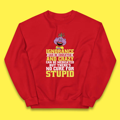 Ignorance Can Be Educated And Crazy Can Be Medicated But There's No Cure For Stupid Anonymous Quote Kids Jumper