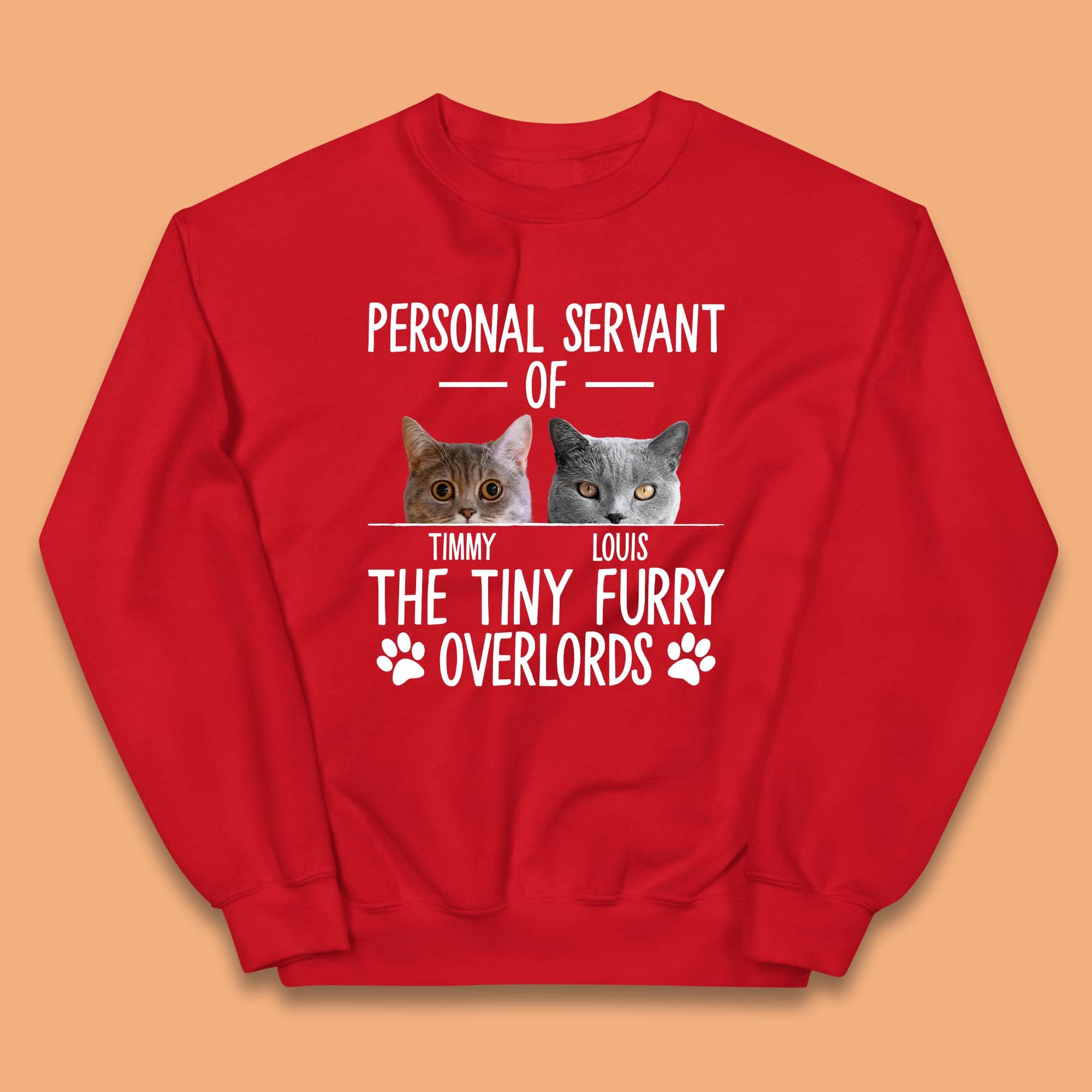 Personalised Servant Of The Tiny Furry Overlords Kids Jumper