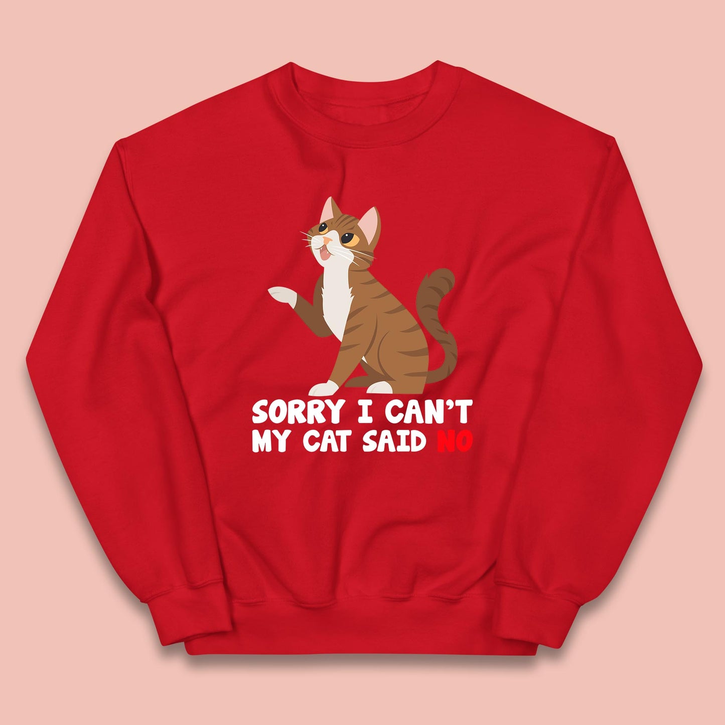 Sorry I Can't, My Cat Said No Funny Cats Lover Gift Kids Jumper