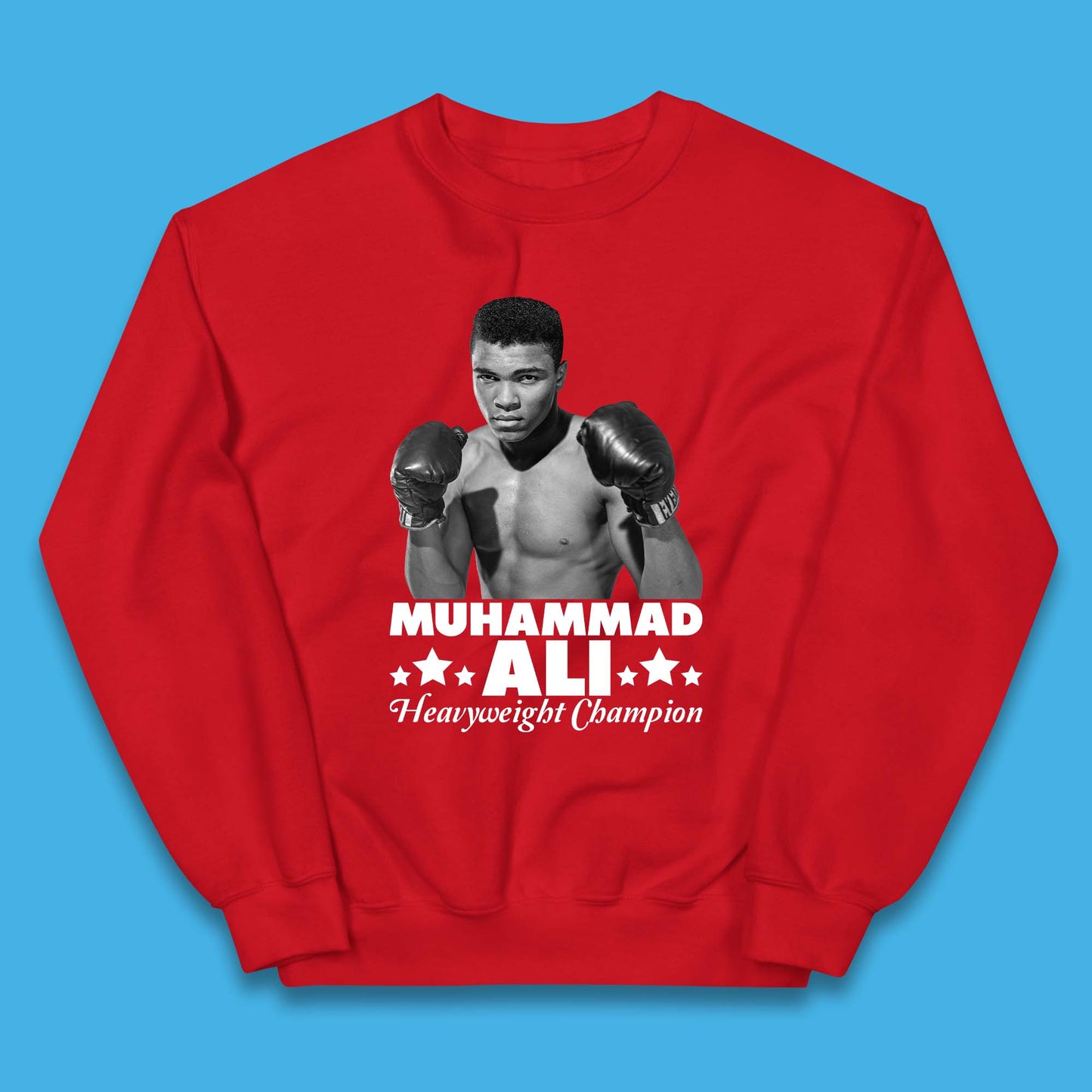 Childrens Boxing Sweatshirt