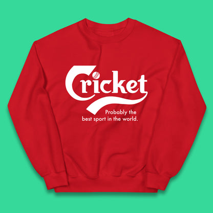 Childrens Cricket Jumper