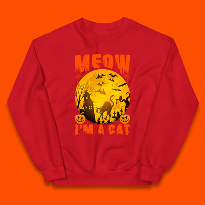 Meow I'm A Cat Halloween Black Cat Horror Scary Haunted House Kids Jumper
