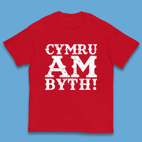 Childrens Wales T Shirt