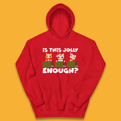 christmas cat hoodie