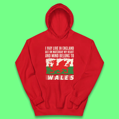 Children's Wales Football Hoodies UK