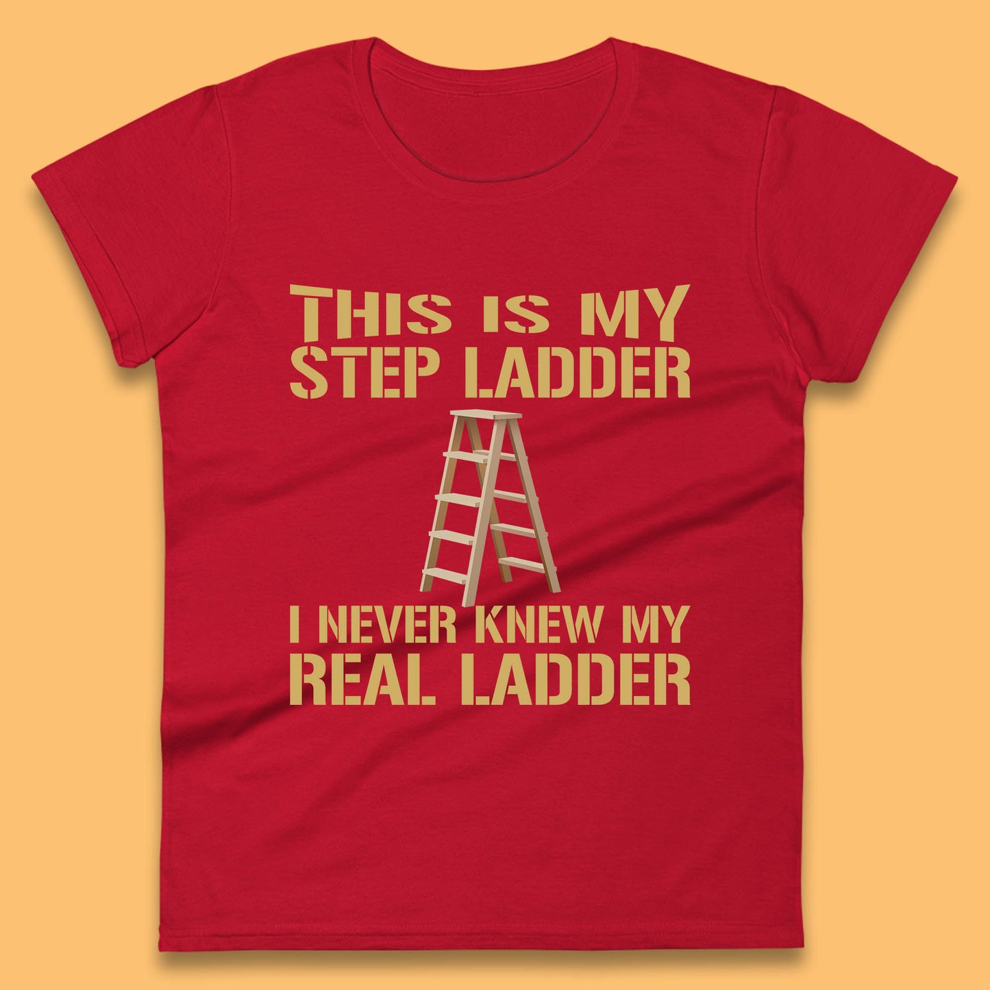 This Is My Step Ladder I Never Knew My Real Ladder Funny Joke Humour Womens Tee Top