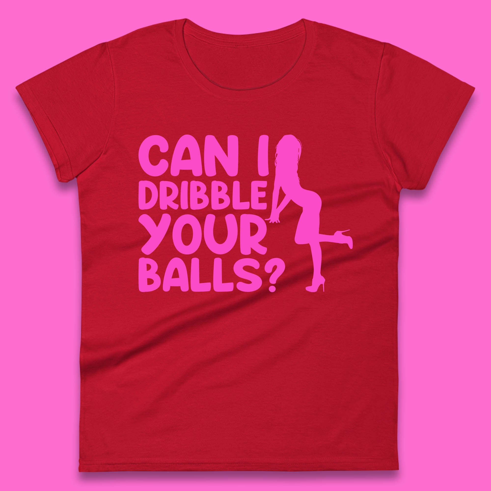 Can I Dribble You Balls? Offensive Adult Humor Gift Womens Tee Top