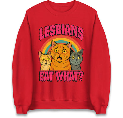 Lesbians Jumper