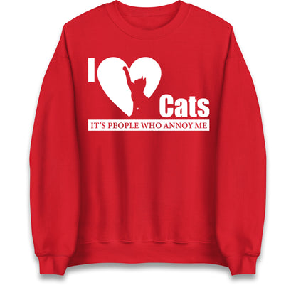 i love cats jumper