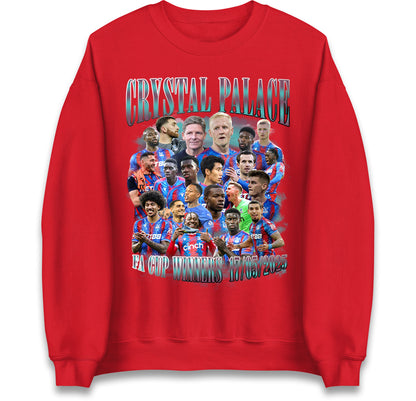 Crystal palace FC Jumper