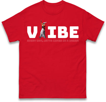 Diljit Vibes T Shirt