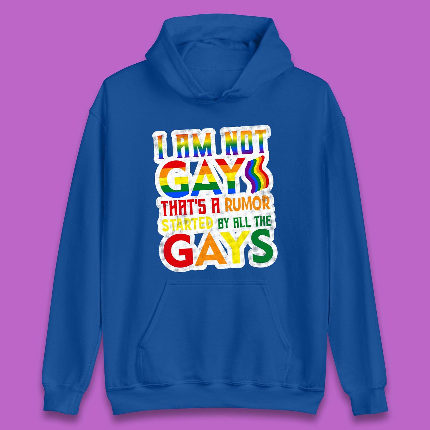 I Am Not Gay Unisex Hoodie
