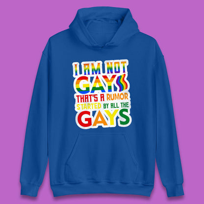 I Am Not Gay Unisex Hoodie