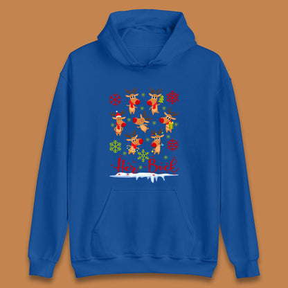 rudolph reindeers hoodie