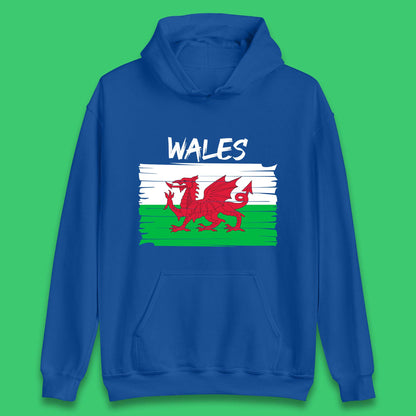 Welsh Dragon Flag Of Wales Saint Welsh Sant Dewi St. David's Day Dragon Flag Unisex Hoodie