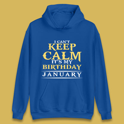 January Birth Party Unisex Hoodie