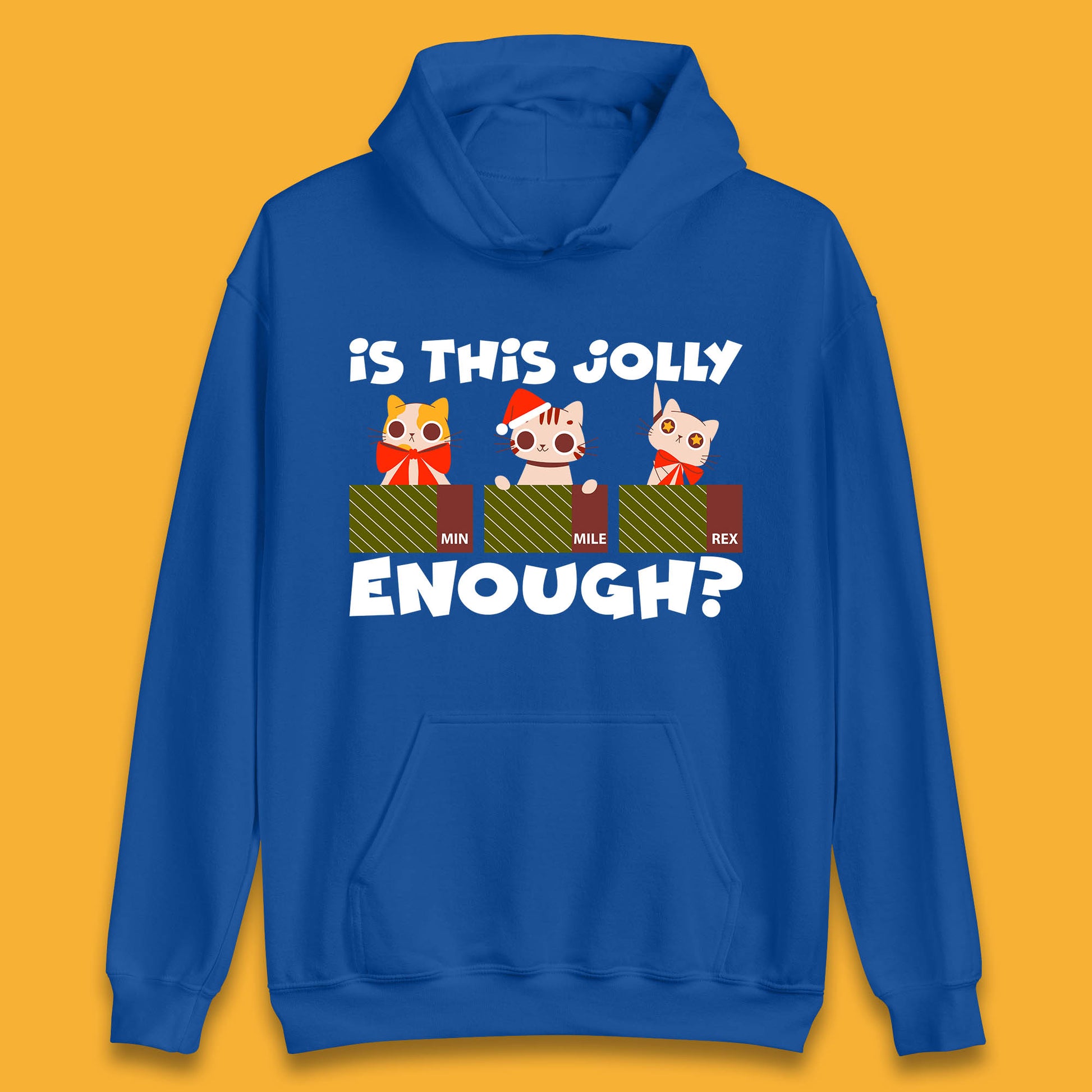 christmas cat hoodie