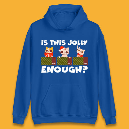 christmas cat hoodie