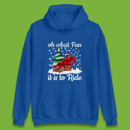 horse riding christmas hoodie