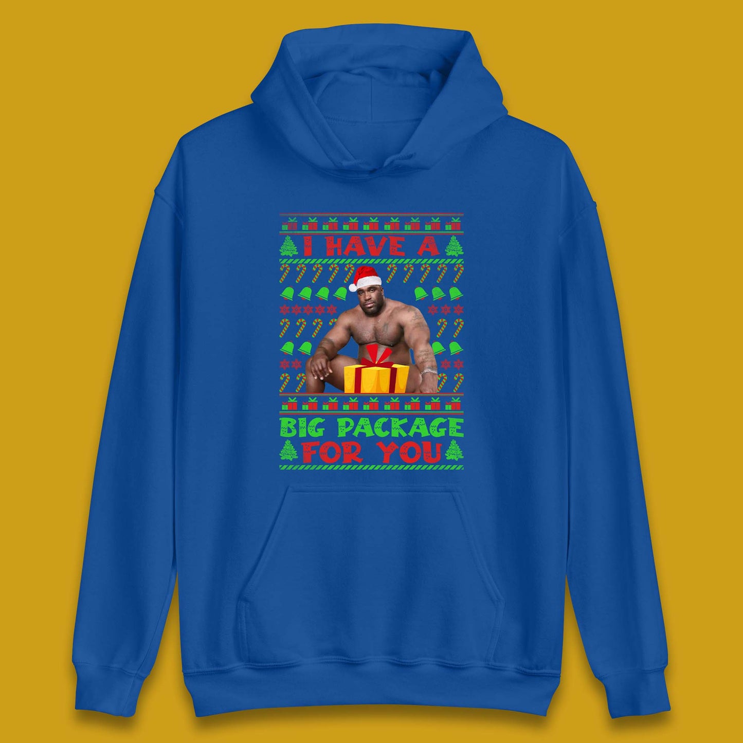 Big Package Ugly Christmas Unisex Hoodie