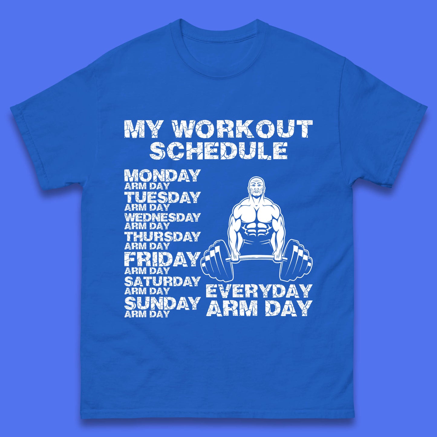 My Workout Schedule Everyday Arm Day Daily Routine  Arm Gym Workout Everyday Of Week Arm Day Fitness Mens Tee Top