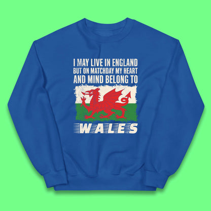 Childrens Wales Football Team Jumper