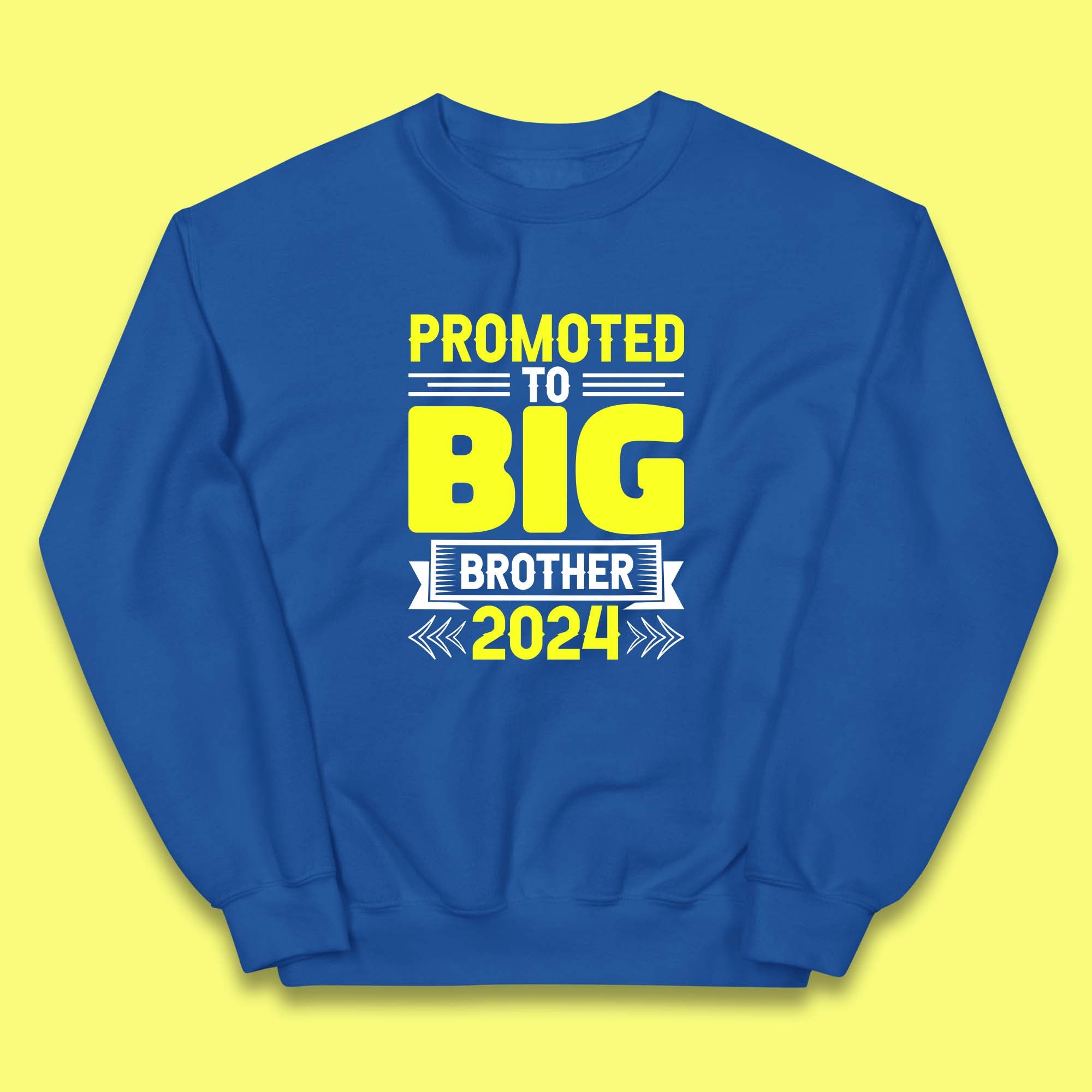Promoted To Big Brother 2024 Soon To Be Big Brother Siblings Gift Kids Jumper