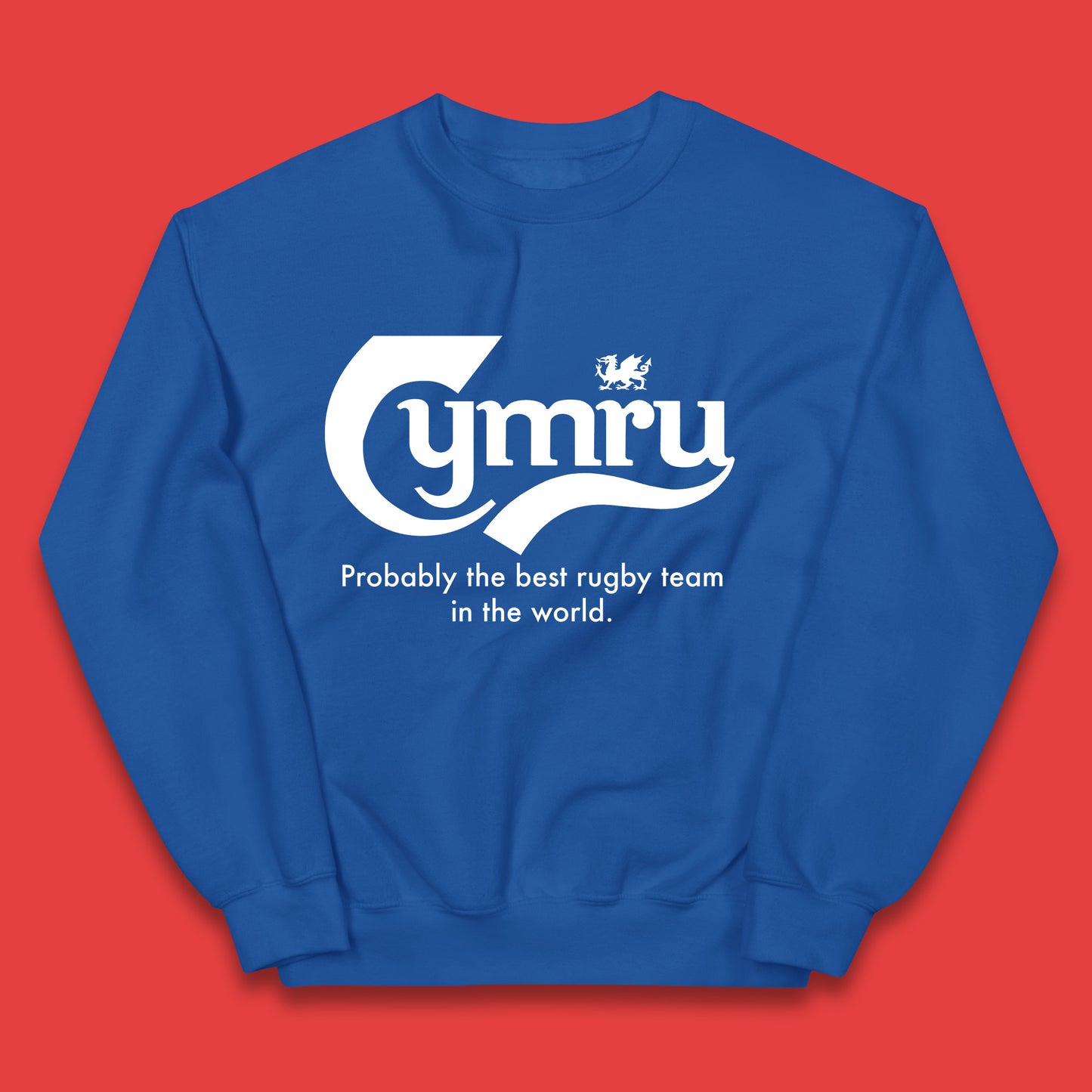 Junior Wales Rugby Hoodie