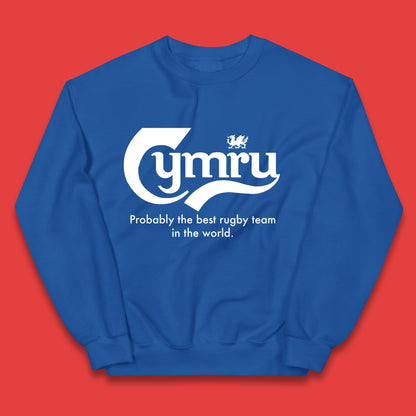 Junior Wales Rugby Hoodie