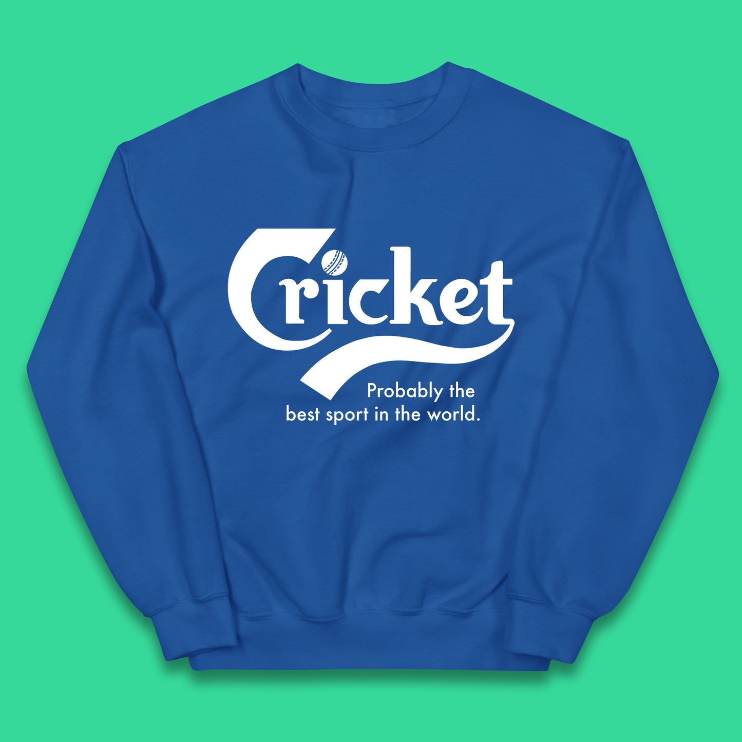 Childrens Cricket Jumper