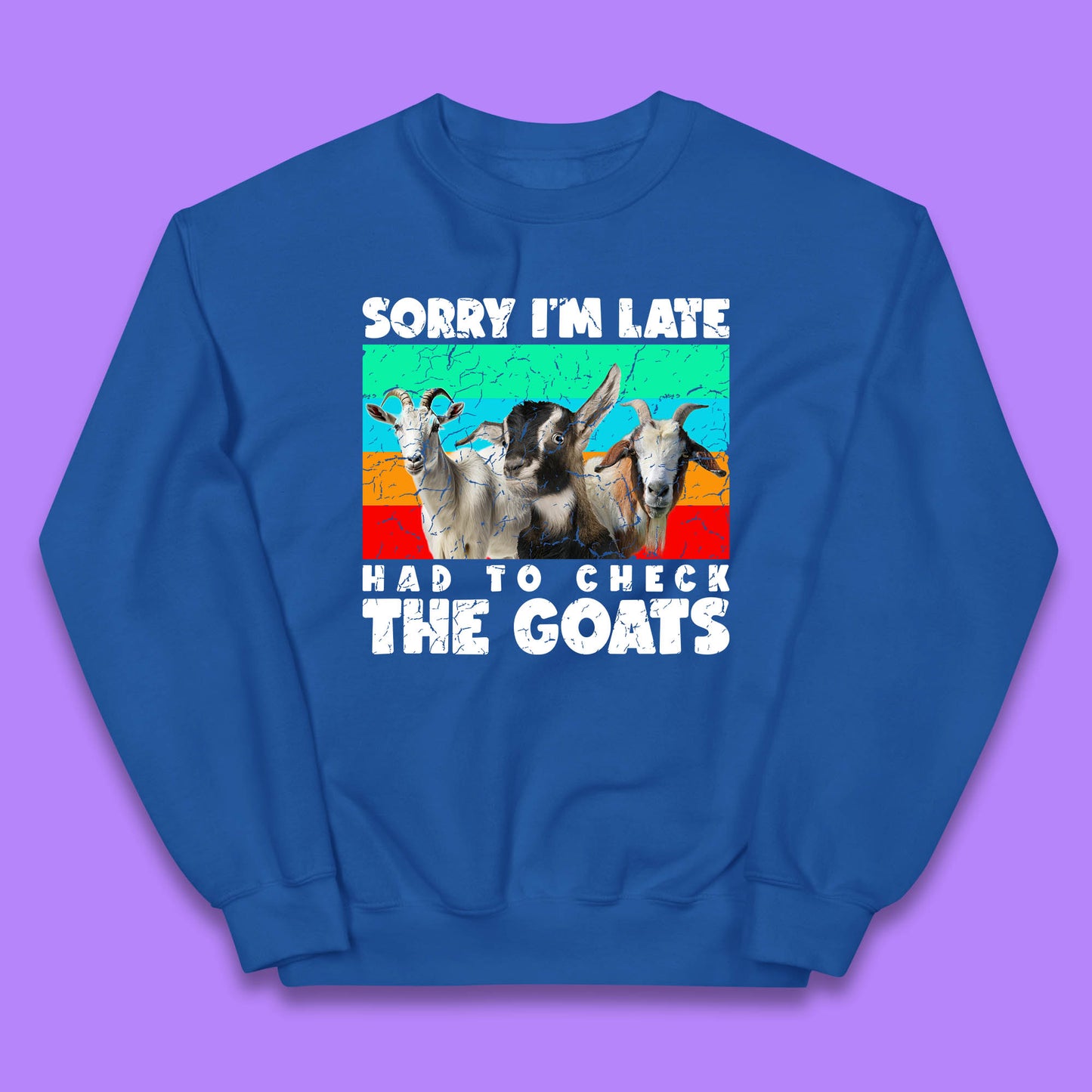Sorry I'm Late Had To Check The Goats Vintage Goat Lover Farmer Kids Jumper