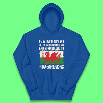 Children's Wales Football Hoodies UK