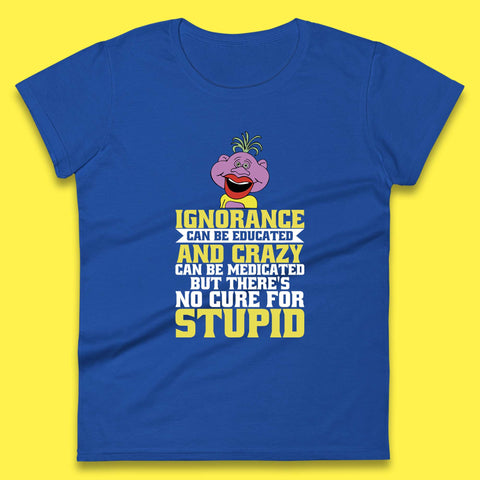 Ignorance Can Be Educated And Crazy Can Be Medicated But There's No Cure For Stupid Anonymous Quote Womens Tee Top