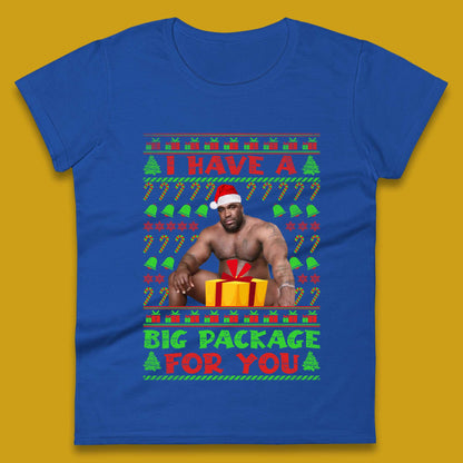 Big Package Ugly Christmas Womens T-Shirt