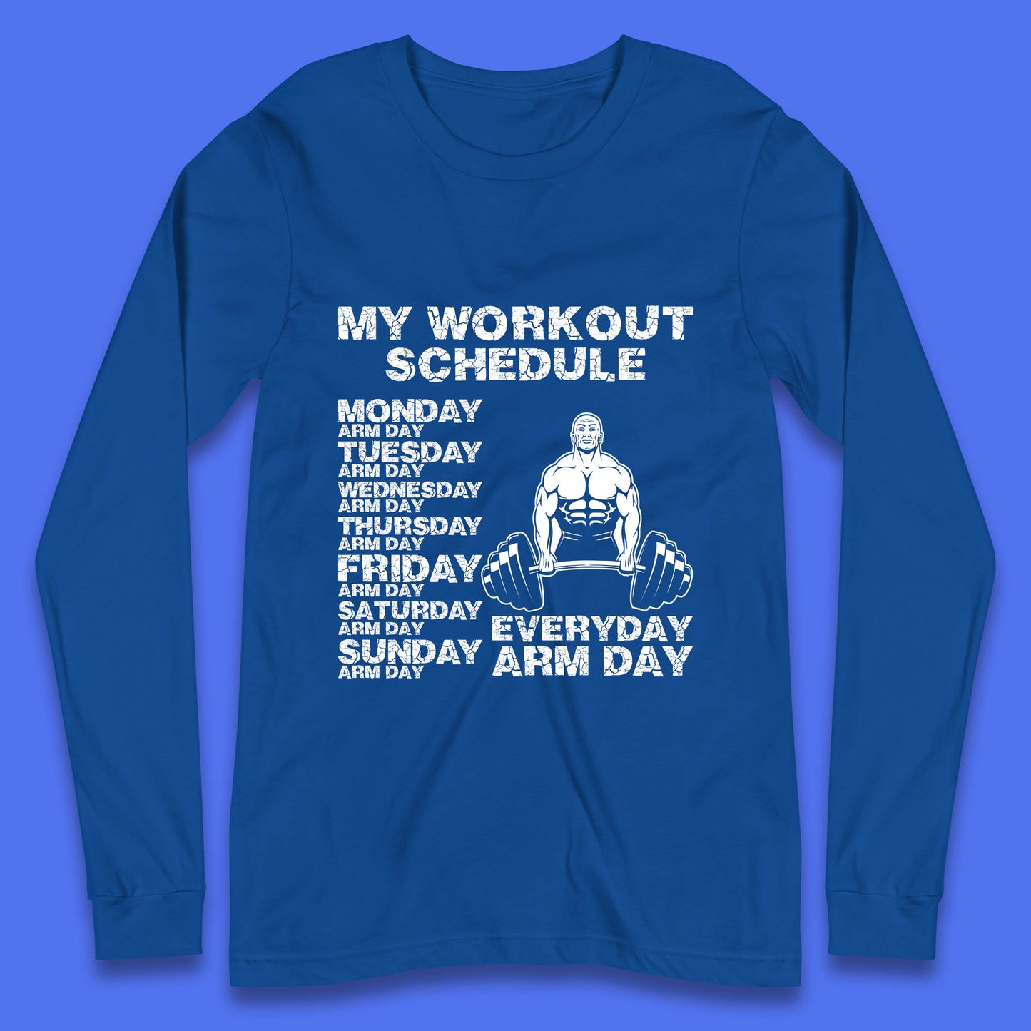 My Workout Schedule Everyday Arm Day Daily Routine  Arm Gym Workout Everyday Of Week Arm Day Fitness Long Sleeve T Shirt