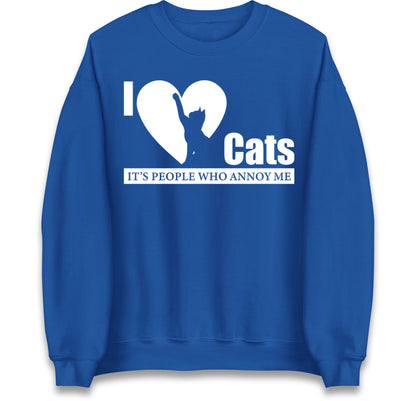 i love cats jumper