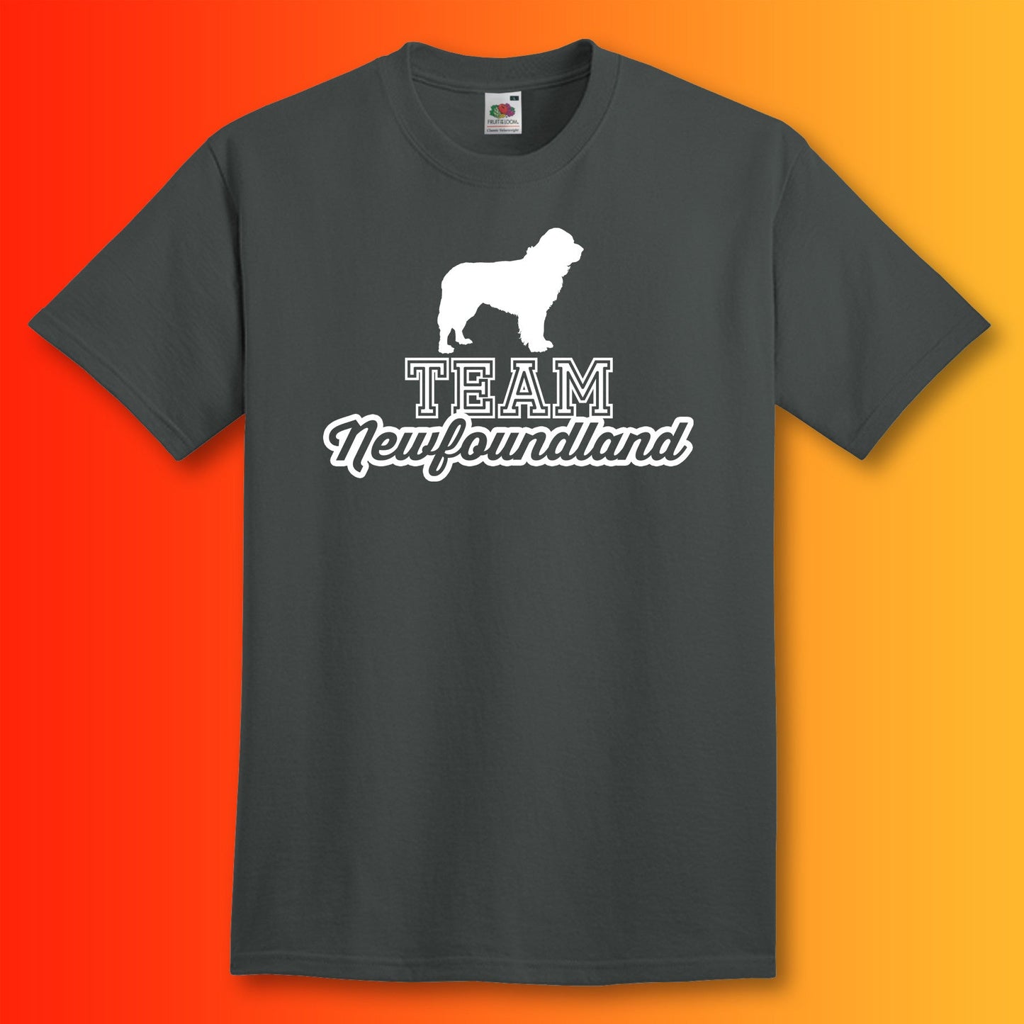 Team Newfoundland Unisex T-Shirt Charcoal