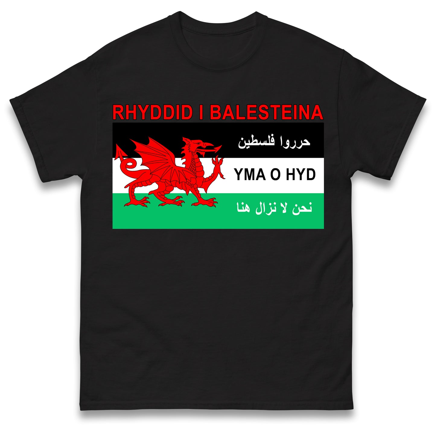 Welsh Pro Palestine T Shirt
