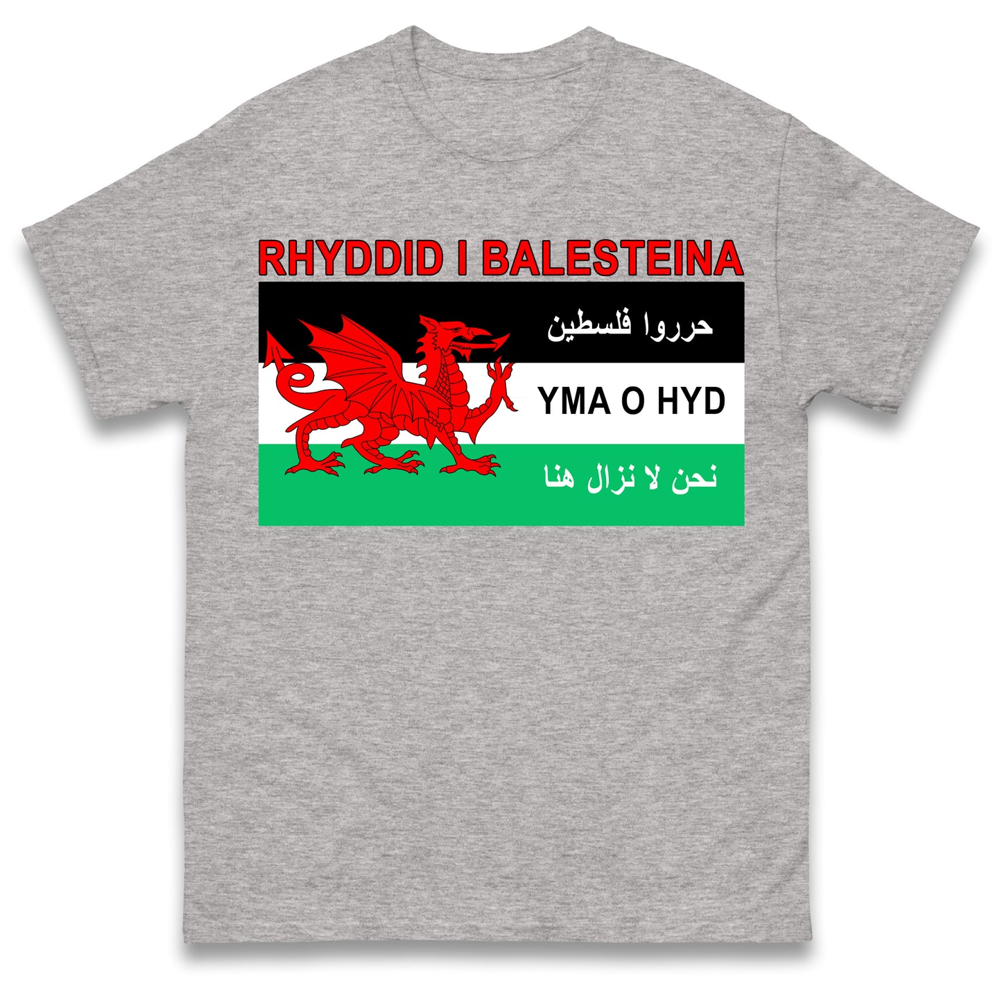Welsh Pro Palestine T Shirt